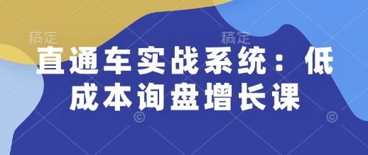 直通车实战系统：低成本询盘增长课，让个人通过技能实现升职加薪，让企业低成本获客，订单源源不断-冰妍网