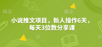 小说推文项目，新人操作6天，每天3位数分享课-冰妍网