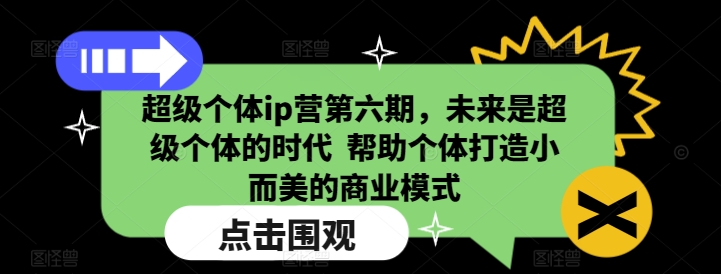 超级个体ip营第六期，未来是超级个体的时代  帮助个体打造小而美的商业模式-冰妍网