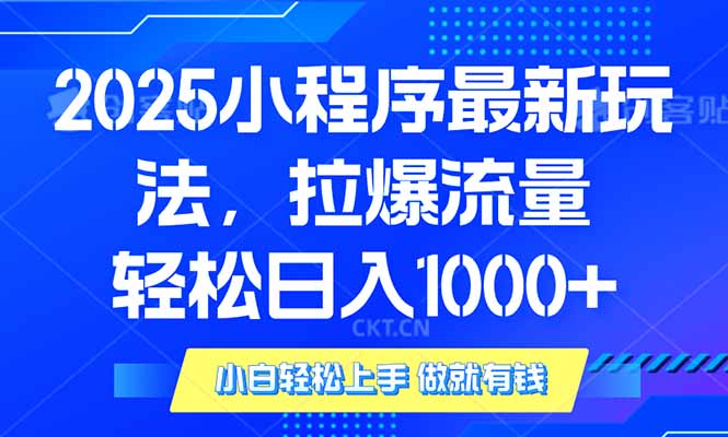 2025年小程序最新玩法，流量直接拉爆，单日稳定变现1000+-冰妍网